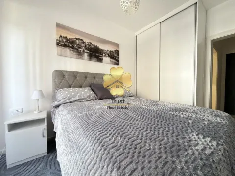 Izdavanje, jednosoban stan, 45m², Stari Aerodrom, Podgorica - image 10