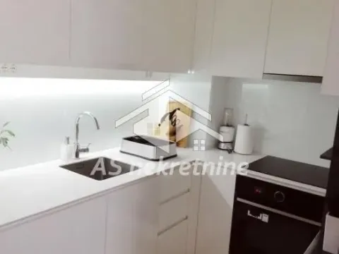 Izdavanje, dvosoban stan, 51m², Novi Beograd Blok 67, Novi Beograd Sve Podlokacije - image 6