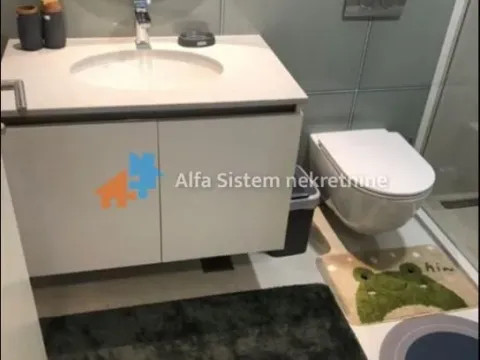 Izdavanje, dvosoban stan, 54m², Savski Venac, Beograd - image 15