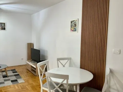 Izdavanje, jednosoban stan, 42m², Zagorič, Podgorica - image 4