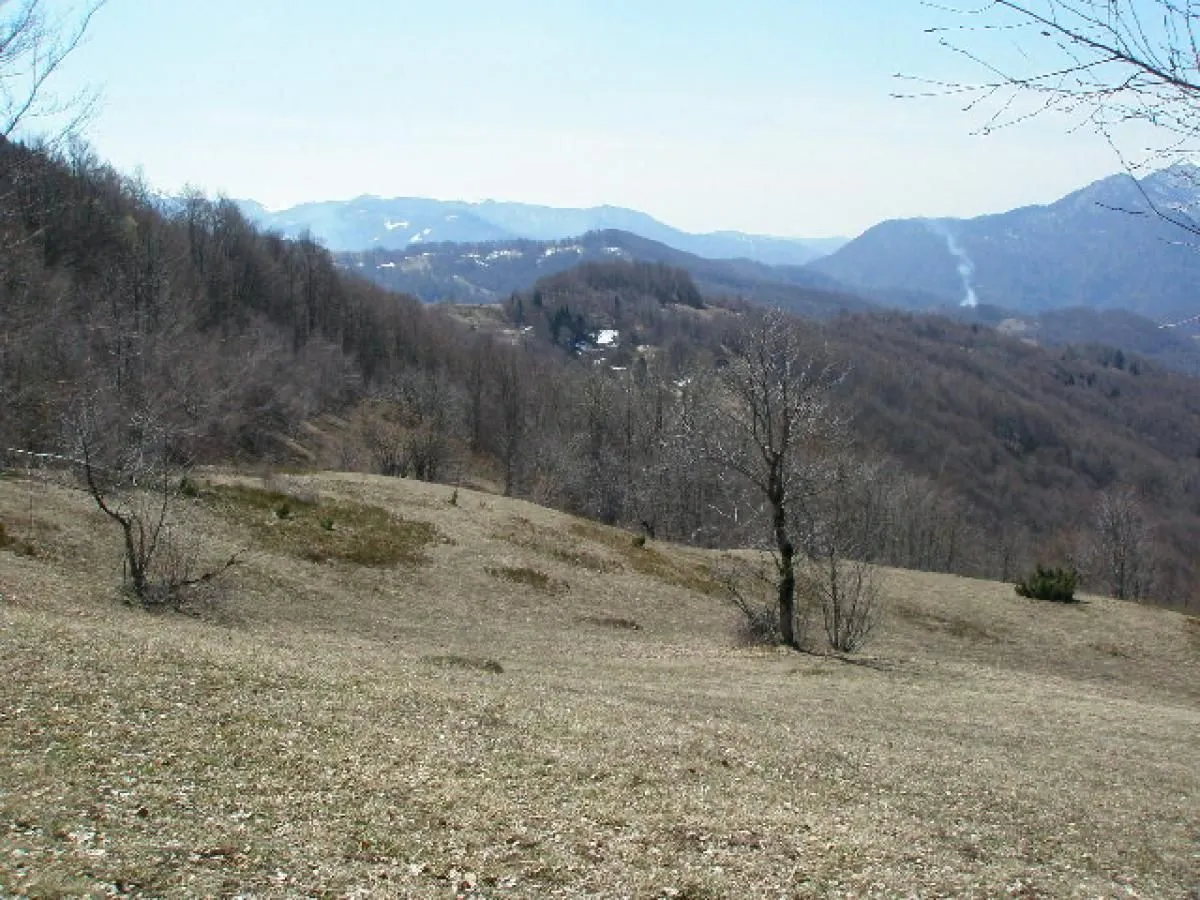 Prodaja, plac, 130000m², Kolašin, Crna Gora