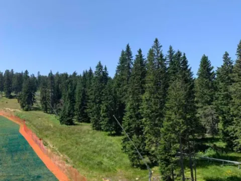 Prodaja, plac, 630m², Kopaonik, Srbija - image 3