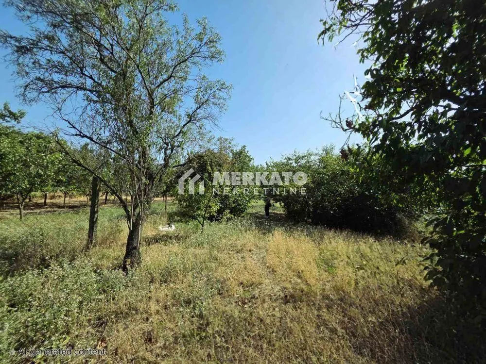 Sale, land lot, 3100m², Bagljaš, Zrenjanin