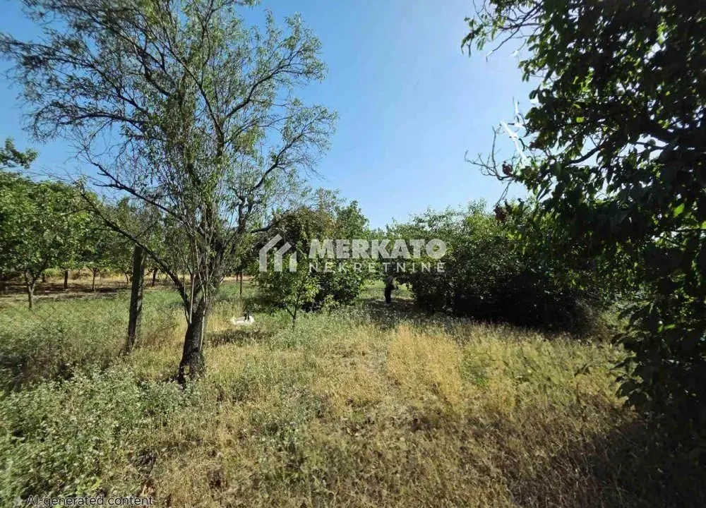 Prodaja, plac, 3100m², Bagljaš, Zrenjanin