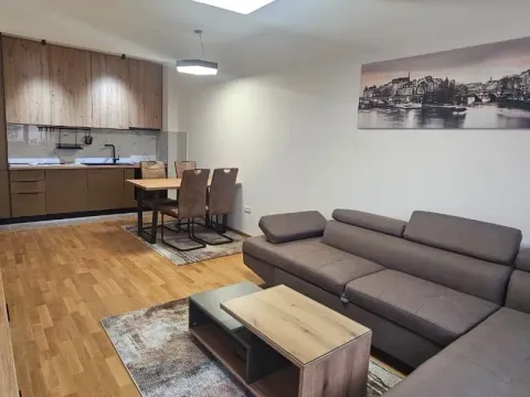 Rent, one bedroom apartment, 48m², Stari Aerodrom, Podgorica - image 1