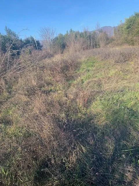 Prodaja, plac, 1016m², Kotor, Crna Gora