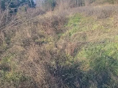 Prodaja, plac, 1016m², Kotor, Crna Gora - image 2