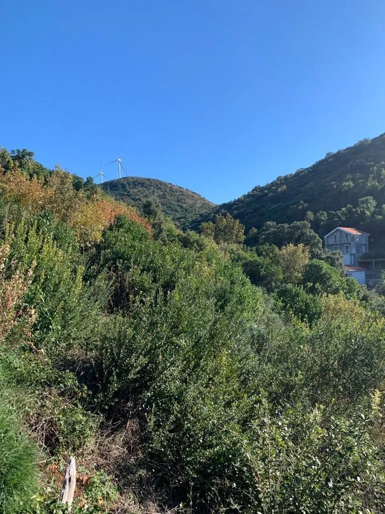 Prodaja, plac, 1594m², Utjeha, Bar