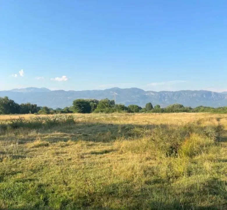 Prodaja, plac, 3000m², Jastreb, Danilovgrad