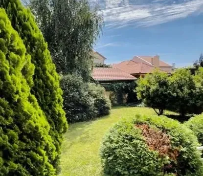 Prodaja, poslovni prostor, 720m², Berbersko novo, Zrenjanin - image 10