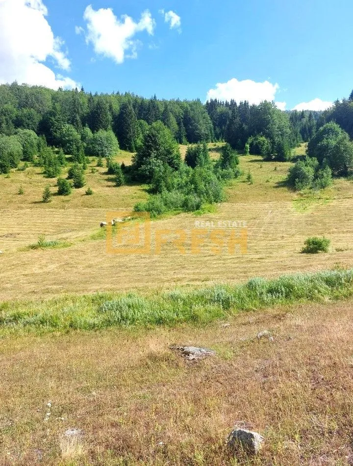 Prodaja, plac, 9000m², Andrijevica, Crna Gora