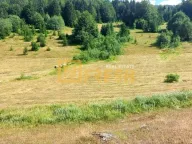 Sale, land lot, 9000m², Andrijevica, Crna Gora - image 3