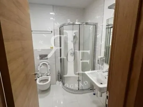 Izdavanje, poslovni prostor, 197m², Novi Beograd Sve Podlokacije, Beograd - image 11