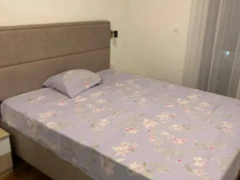 Izdavanje, jednosoban stan, 47m², Stari Aerodrom, Podgorica - image 4