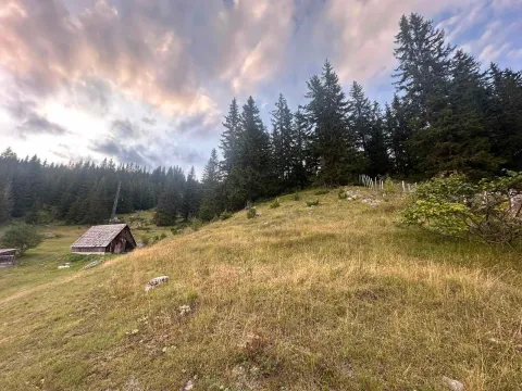 Prodaja, plac, 1303m², Žabljak, Crna Gora - image 5