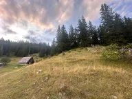 Sale, land lot, 1303m², Žabljak, Crna Gora - image 5