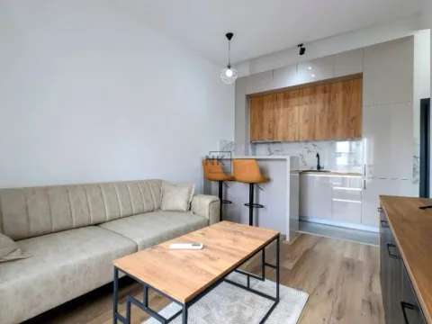 Prodaja, jednosoban stan, 34m², Zabjelo, Podgorica - image 7