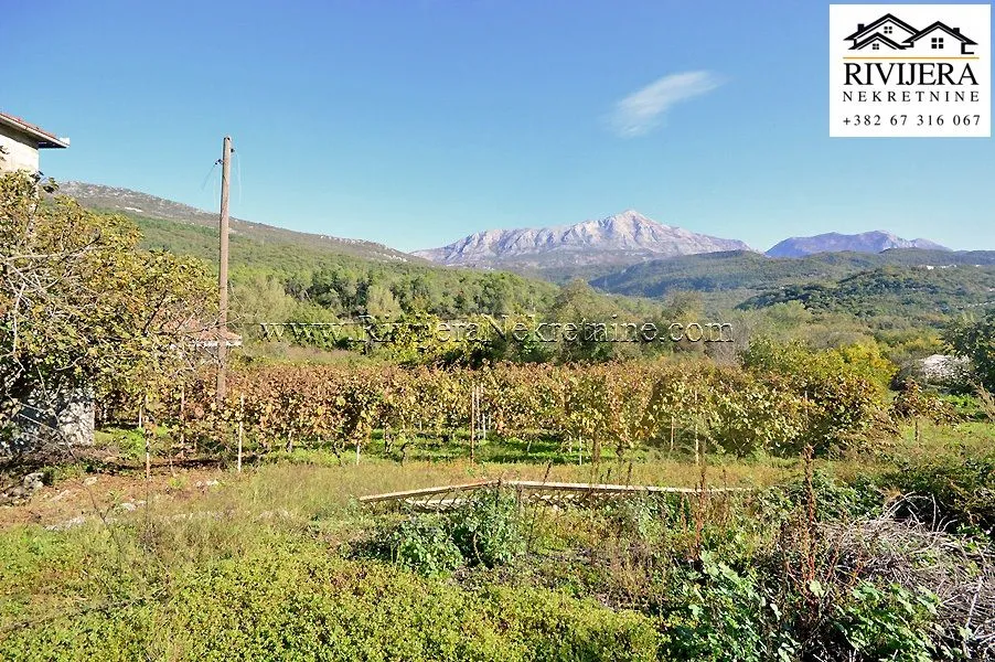 Prodaja, plac, 3636m², Sutorina, Herceg Novi