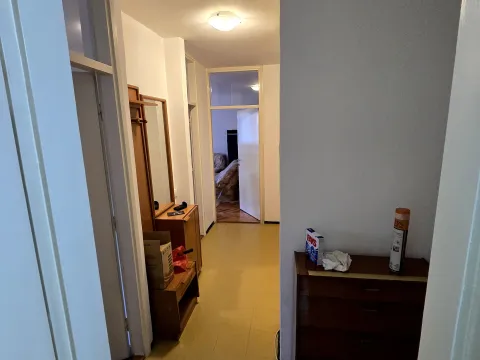 Prodaja, jednosoban stan, 60m², Preko Morače, Podgorica - image 8