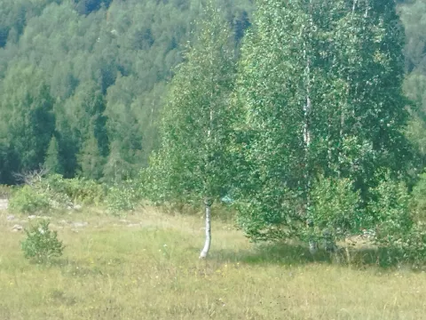 Sale, land lot, 596m², Tepačko polje, Žabljak - image 10