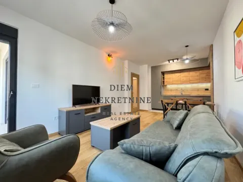 Rent, one bedroom apartment, 50m², City Kvart, Podgorica - image 12