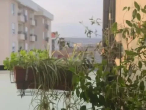 Sale, one bedroom apartment, 34m², Zabjelo, Podgorica - image 4