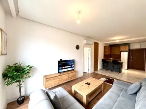 One Bedroom Apartment for Short Term Rental, 54m2, Bečići, Budva