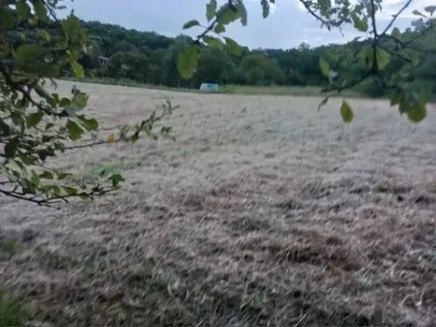 Prodaja, zemljište, 516m2, Fruška Gora, Novi Sad Prodaja, zemljište, 516m2, Fruška Gora, Novi Sad
