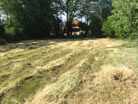 Sale, land lot, 2000m², Zeta, Podgorica - image 2