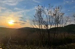 Sale, land lot, 2447m², Budva, Crna Gora - image 2