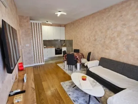 Izdavanje, jednosoban stan, 45m², Zabjelo, Podgorica - image 6