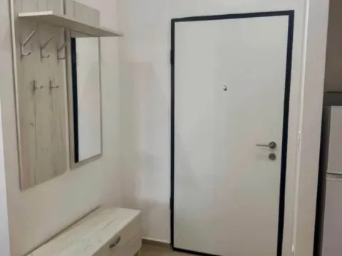 Rent, one bedroom apartment, 46m², Stari Aerodrom, Podgorica - image 4