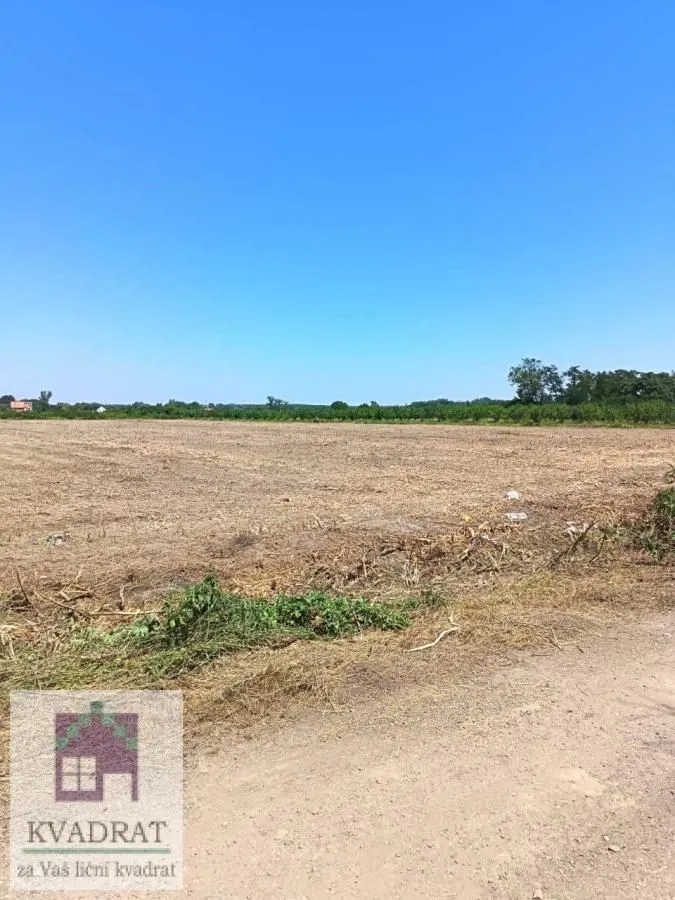 Sale, land lot, 14300m², Skela, Obrenovac