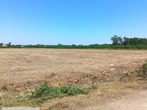 Sale, land lot, 14300m², Skela, Obrenovac - image 2