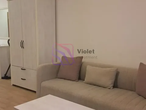 Sale, apartment, 31m², Golubovina, Budva - image 4