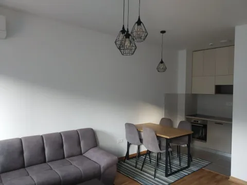 Izdavanje, jednosoban stan, 45m², City Kej, Podgorica - image 2