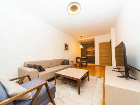 Izdavanje, stan, 44m², New City, Podgorica - image 4