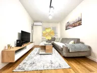 Izdavanje, jednosoban stan, 50m², Central Point, Podgorica - image 1