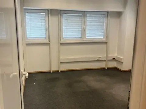 Izdavanje, poslovni prostor, 259m², Tošin bunar, Novi Beograd Sve Podlokacije - image 3