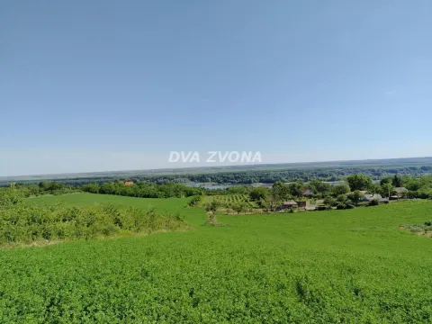 Prodaja, plac, 4300m², Novi Slankamen, Inđija - image 4