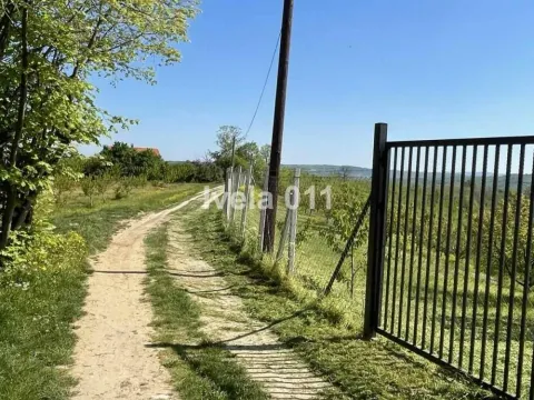 Prodaja, plac, 6200m², Grocka, Beograd - image 19