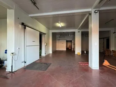 Sale, office space, 1654m², Begaljica, Grocka - image 1