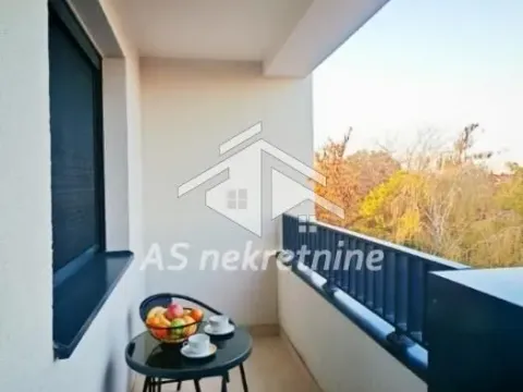Izdavanje, dvosoban stan, 42m², Zemun Sve Podlokacije, Beograd - image 13