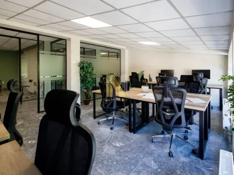 Izdavanje, poslovni prostor, 217m², Centar, Novi Sad