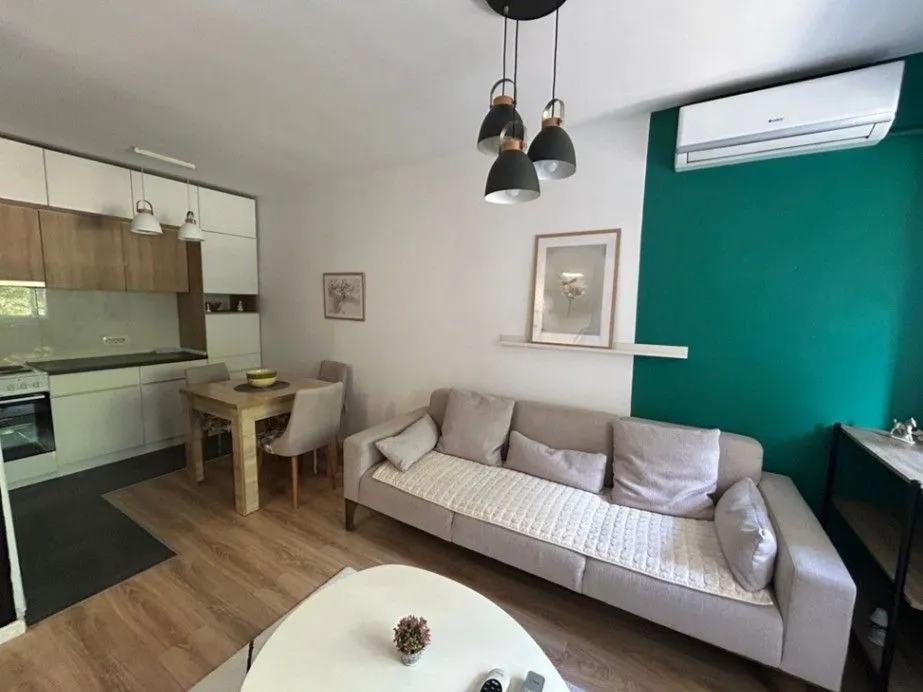 Rent, one bedroom apartment, 40m², Blok 5, Podgorica