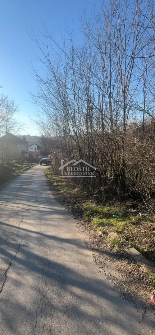 Asfaltni put koji vodi do nekretnine sa drvećem i okolnim kućama.