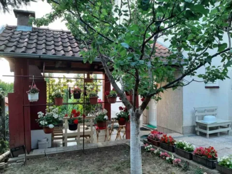 Sale, house, 220m², Novi Sad Sve Podlokacije, Novi Sad - image 11