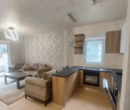 Rent, apartment, 50m², Golubovina, Budva - image 4