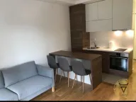 Izdavanje, dvosoban stan, 43m², Južni Bulevar, Vračar Sve Podlokacije - image 1