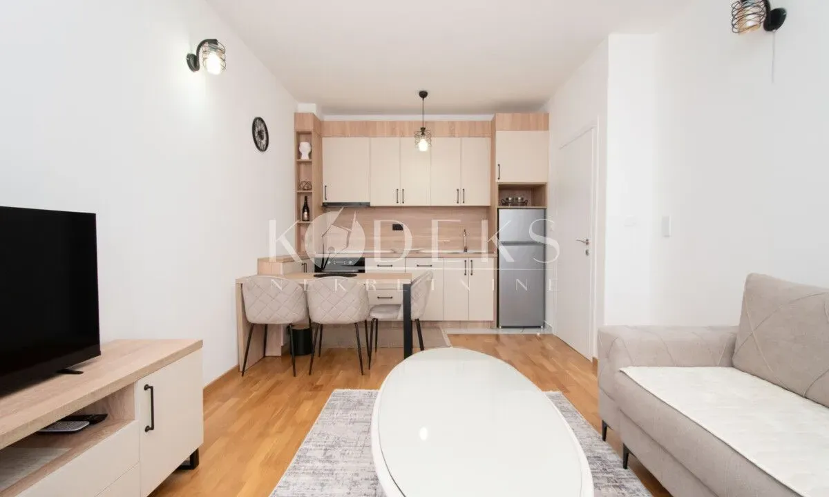 Rent, one bedroom apartment, 39m², Zagorič, Podgorica